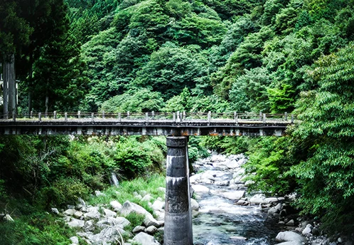 受け継ぐ人がいてこそ、守られる薬草文化