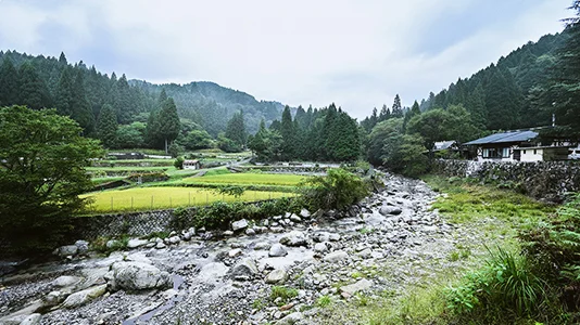 薬草文化を食で楽しむ新しいスタイル